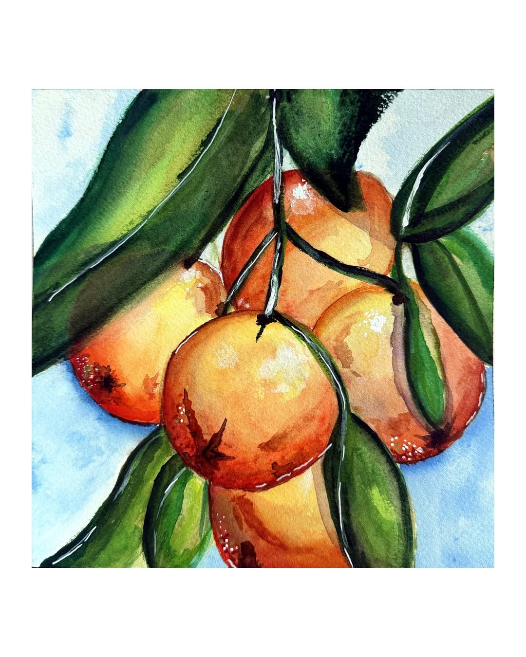 Watercolor of oranges and leaves on a pale blue wash